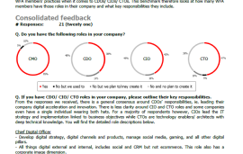    Benchmark on C-suite roles and responsibilities