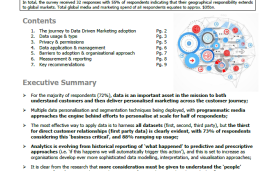    Survey on data driven marketing (DDM)