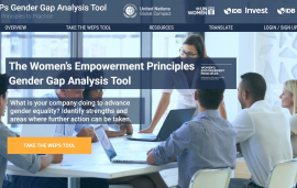    WEPs Gender Gap Analysis Tool