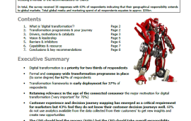    Survey on Digital Transformation